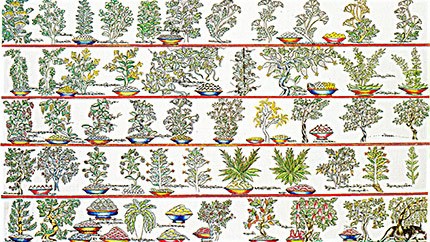 藏藥材資源分布、發(fā)展史