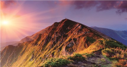 冬蟲夏草發霉的原因是什么 冬蟲夏草該如何保存